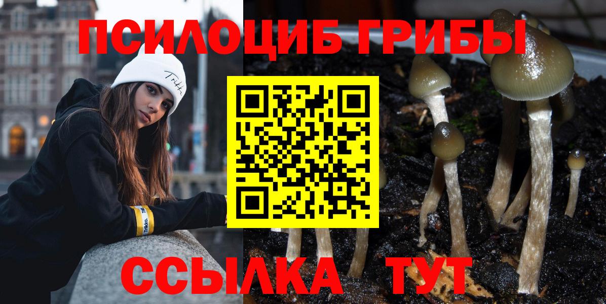 Псилоцибиновые грибы Psilocybe  Вход с VPN  Топки 