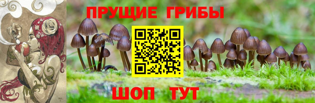 Галлюциногенные грибы мухоморы Топки